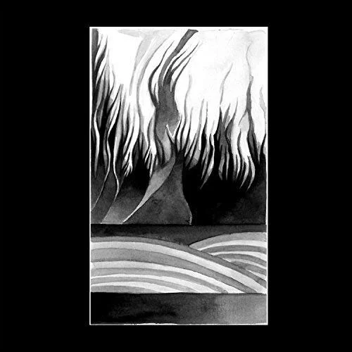 2026_05_12_3575485