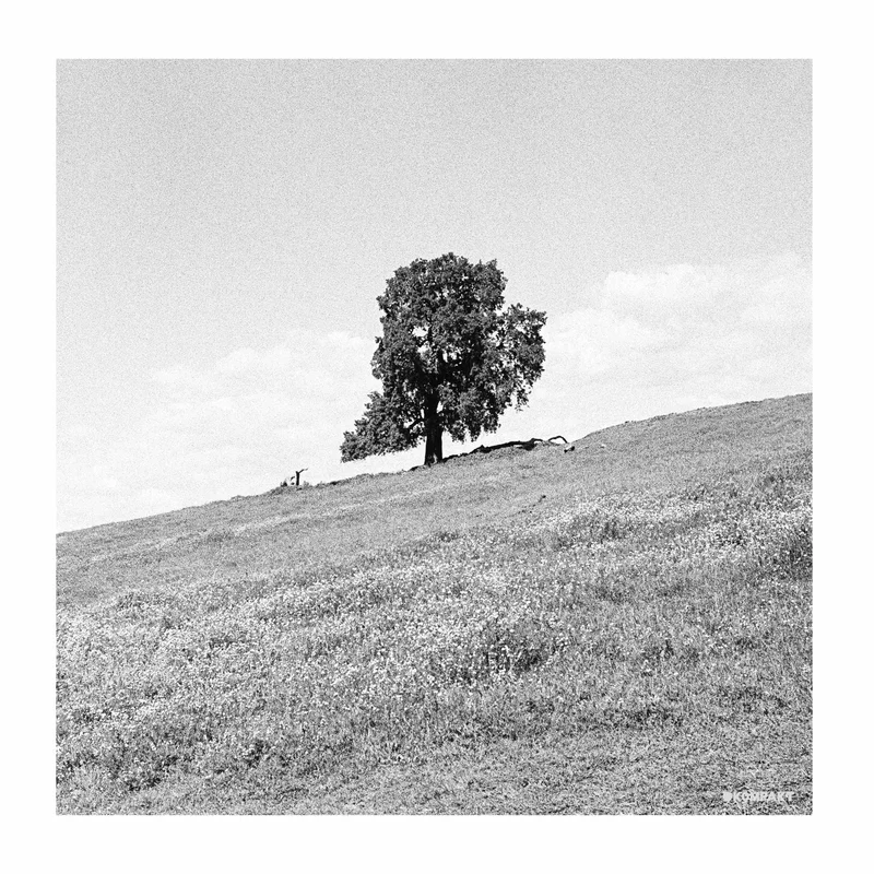2026_05_12_3692832