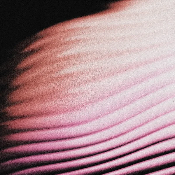 2026_05_13_3796818