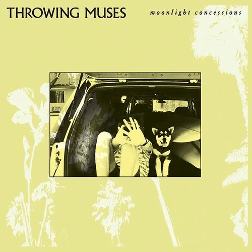 applestumprecords202605081421572898775