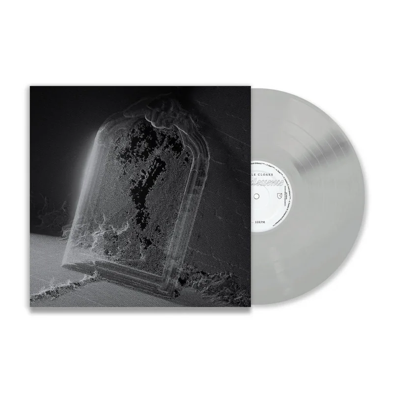 strangerthanparadiserecords202605071107042711273